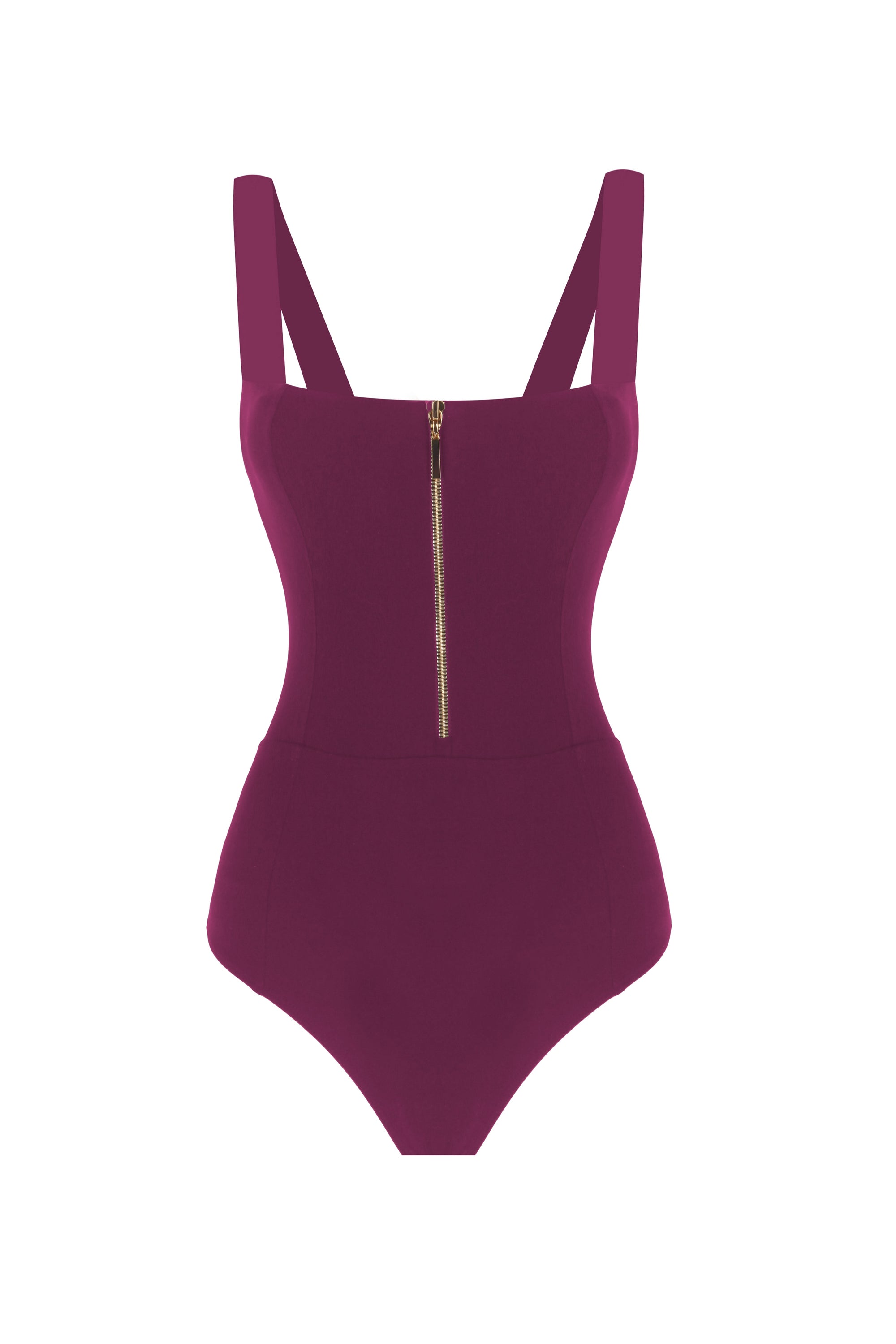 Gabrielle Burgundy Swimsuit